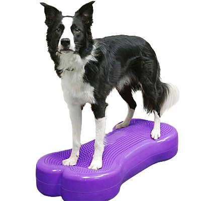 Dog cheap balance bone